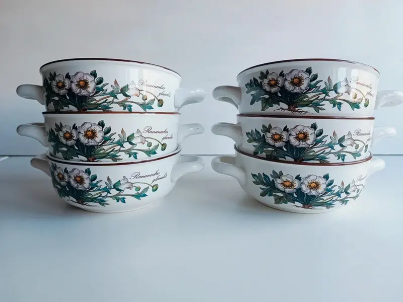 Lot de 6 bols à soupe Villeroy & Boch Botanica
