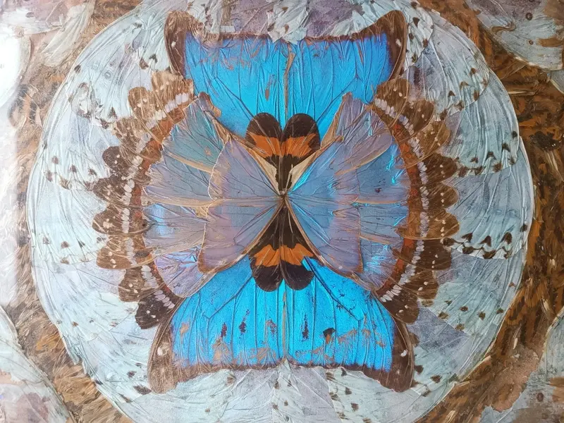 Plateau bois décoratif papillons Morpho — photo 1