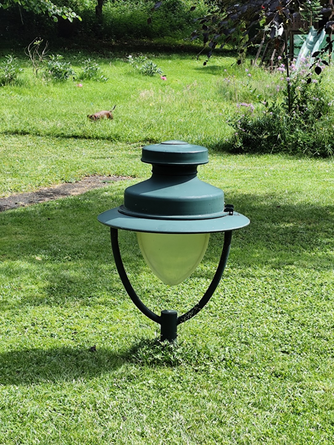 Vue 8
